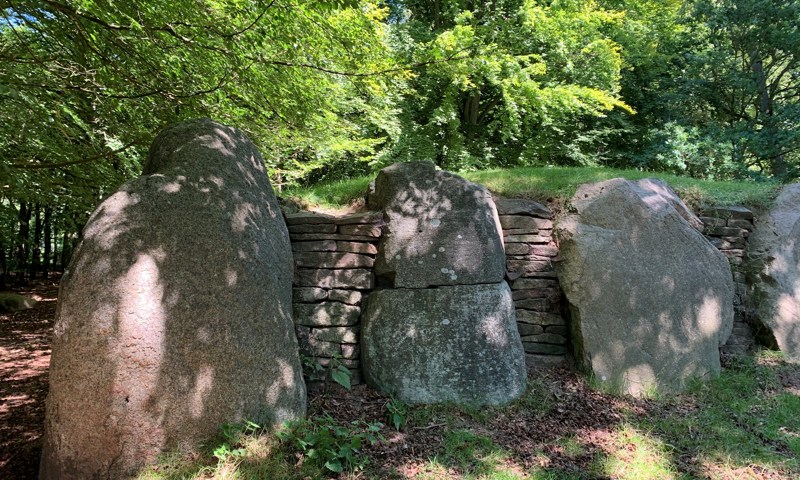Fortidsminde i Halskov Vænge Fortidsminde i Halskov Vænge
