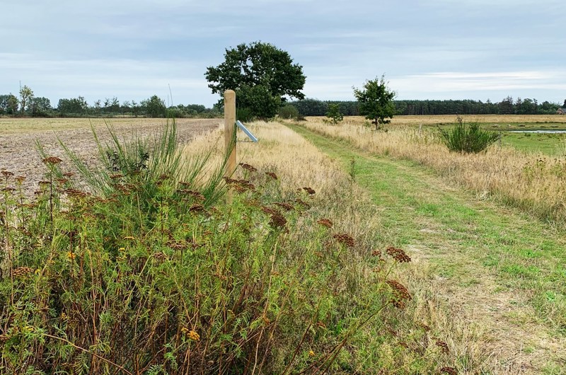 Udsigt fra stiforløbet, der er lavet gennem Bøtø Nor